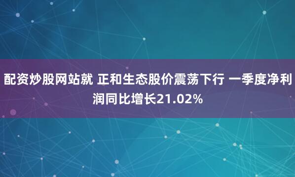 配资炒股网站就 正和生态股价震荡下行 一季度净利润同比增长21.02%
